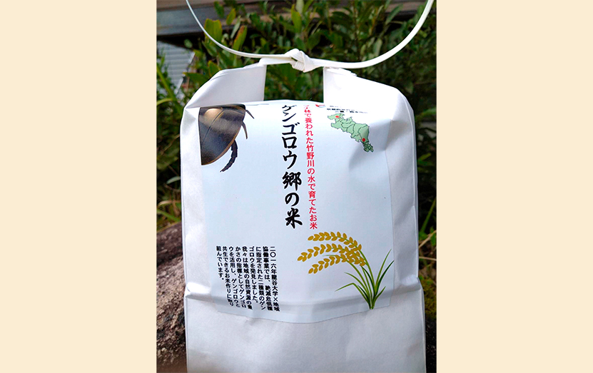 京丹後産コシヒカリ｢ゲンゴロウ郷の米｣2kg